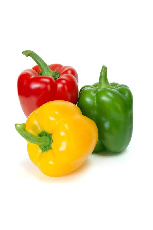 Bell pepper